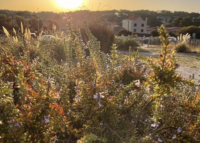 L'Oceane Bed&Breakfast Lacanau
